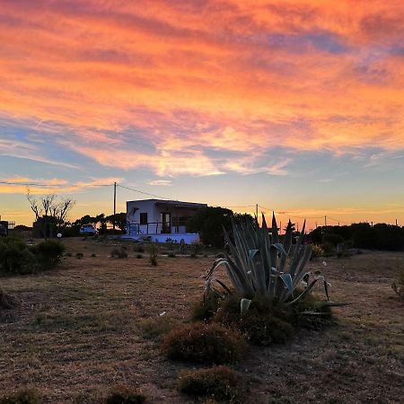 Eco Affittacamere Casa Maica Eco Guesthouse Stintino Dış mekan fotoğraf