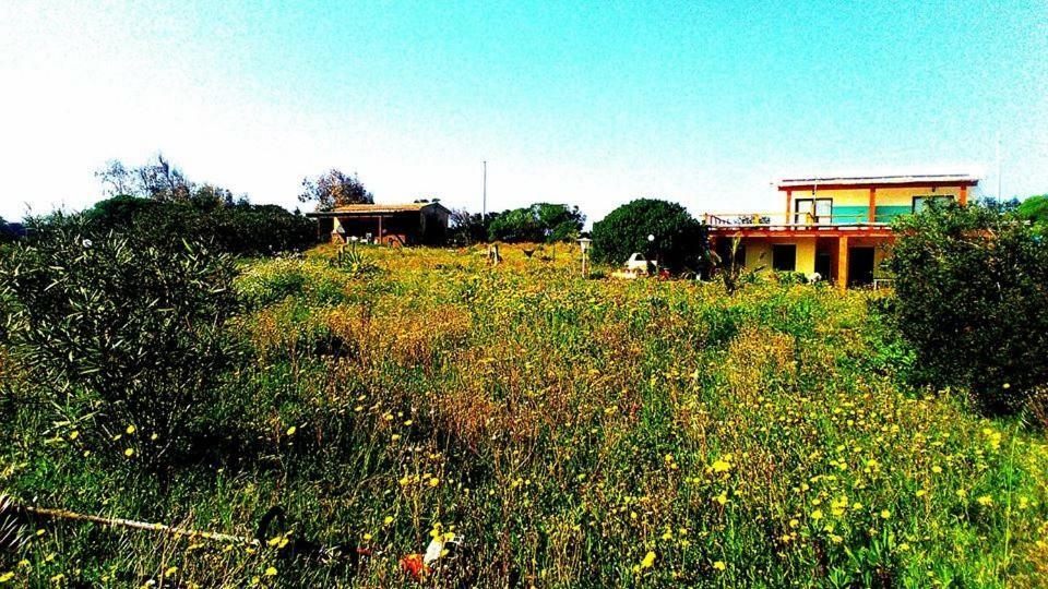 Eco Affittacamere Casa Maica Eco Guesthouse Stintino Dış mekan fotoğraf