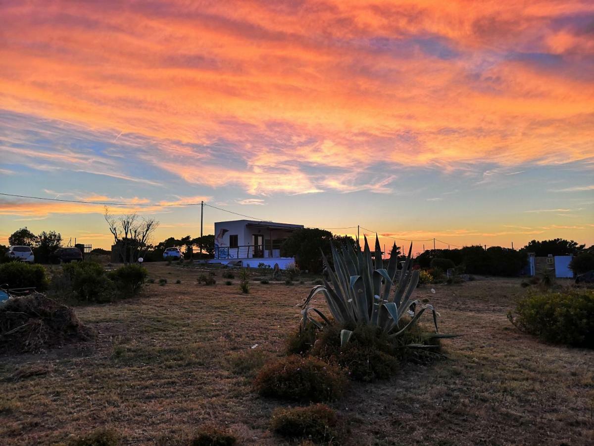Eco Affittacamere Casa Maica Eco Guesthouse Stintino Dış mekan fotoğraf