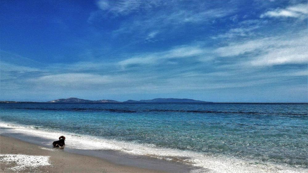 Eco Affittacamere Casa Maica Eco Guesthouse Stintino Dış mekan fotoğraf